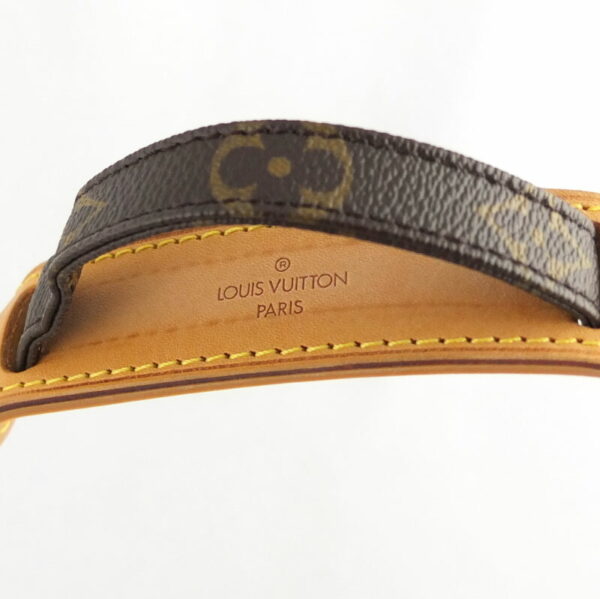 10004110 9 Louis Vuitton Danube Monogram Shoulder Bag