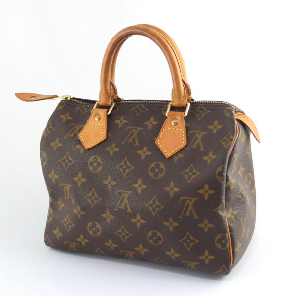 10004695 2 Louis Vuitton Speedy 25 Monogram Handbag