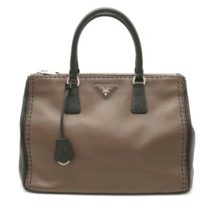 12101311 Fendi Celeria Peekaboo 2WAY Handbag