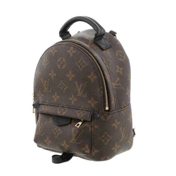 1240002013905 2 Louis Vuitton Palm Springs Backpack Mini Rucksack Monogram