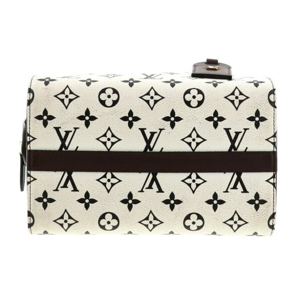 1240005021964 5 Louis Vuitton Speedy Amazon PM Shoulder Bag Monogram White