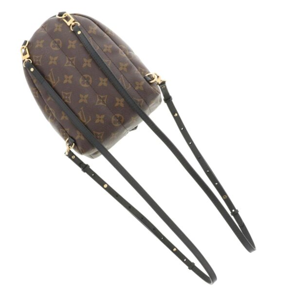 1240007022891 5 Louis Vuitton Palm Springs Backpack Mini Monogram