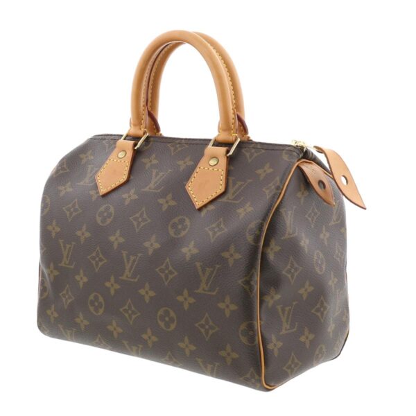 1240009001938 2 Louis Vuitton Speedy 25 Handbag Monogram