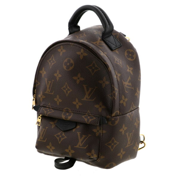 1240009002816 2 Louis Vuitton Palm Springs Backpack Mini Daypack Monogram Brown