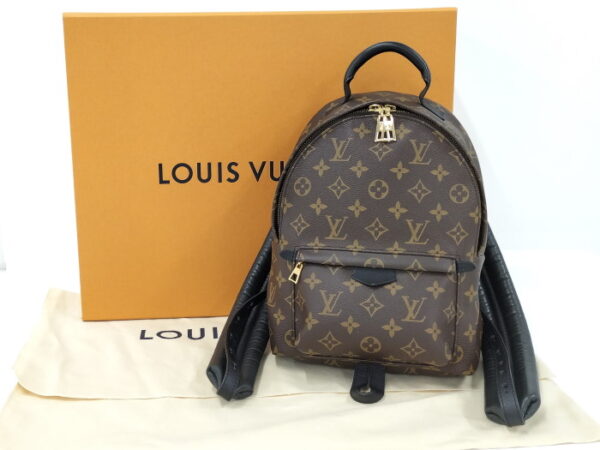 2000773259300574 10 Louis Vuitton Palm Springs MINI Monogram Backpack