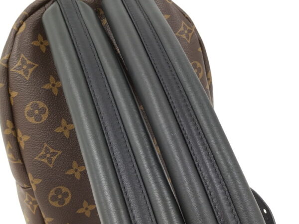 2000773259300574 5 Louis Vuitton Palm Springs MINI Monogram Backpack