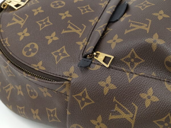 2000773259300574 7 Louis Vuitton Palm Springs MINI Monogram Backpack