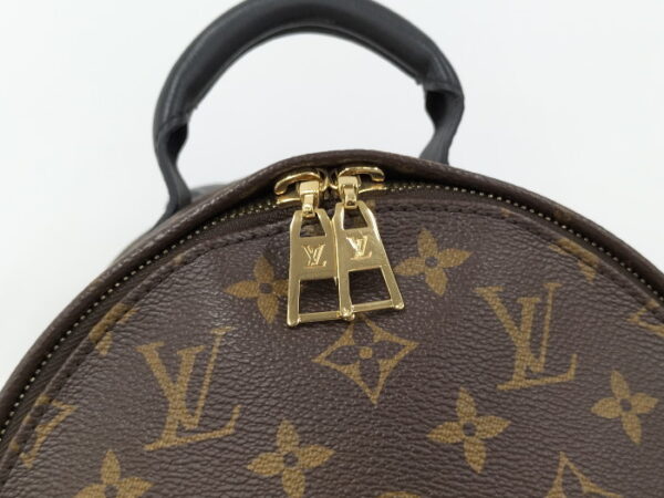 2000773259300574 8 Louis Vuitton Palm Springs MINI Monogram Backpack