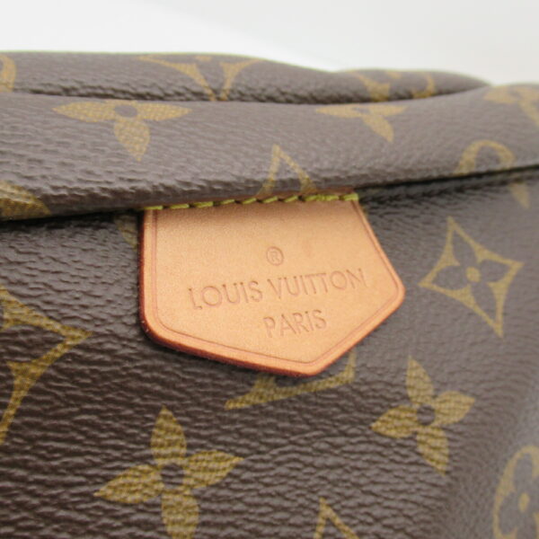 2101217646383 8 Louis Vuitton Bum Bag Waist Bag Monogram Brown