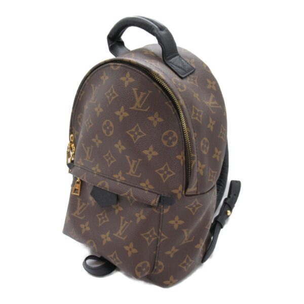 2101217898645 4 Louis Vuitton Palm Springs Backpack PM Monogram Brown