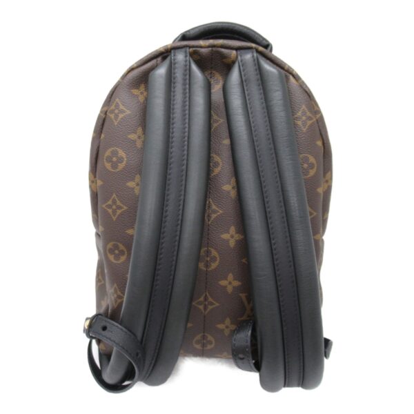 2101217898645 5 Louis Vuitton Palm Springs Backpack PM Monogram Brown