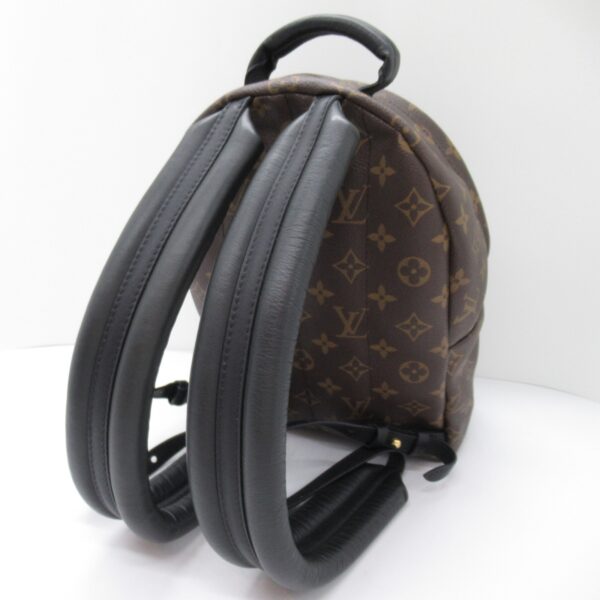 2101217898645 6 Louis Vuitton Palm Springs Backpack PM Monogram Brown