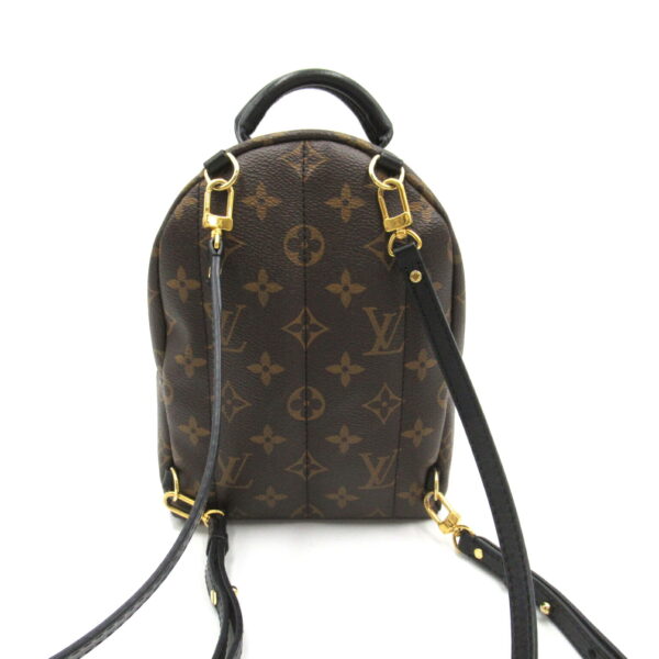 2101217973861 2 Louis Vuitton Palm Springs Backpack Monogram Brown