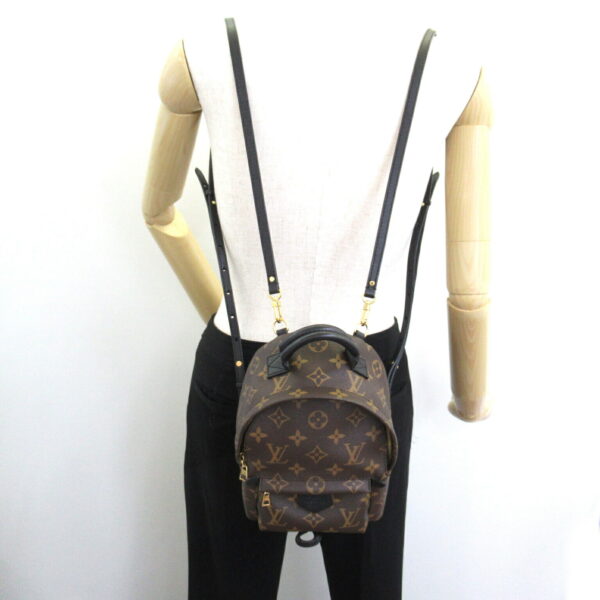 2101217973861 5 Louis Vuitton Palm Springs Backpack Monogram Brown