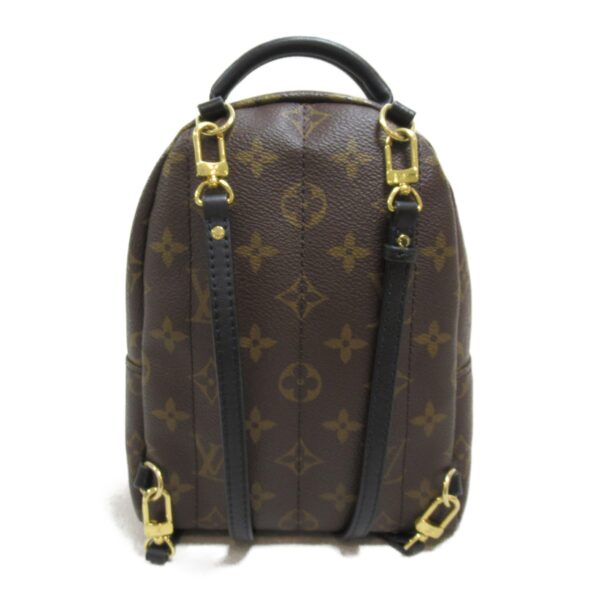 2118400120261 3 Louis Vuitton Palm Springs Mini Backpack Monogram Brown