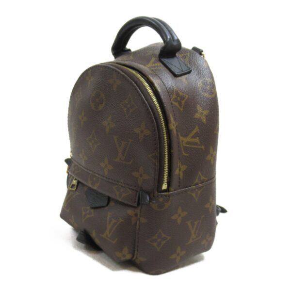 2118400120261 4 Louis Vuitton Palm Springs Mini Backpack Monogram Brown