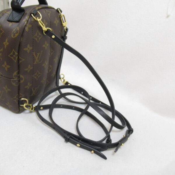 2118400120261 8 Louis Vuitton Palm Springs Mini Backpack Monogram Brown