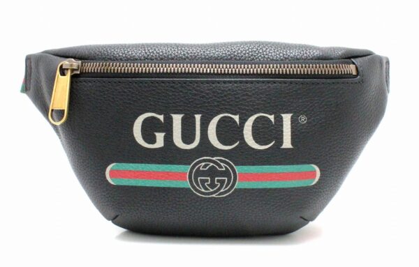 21790706 Gucci Printed Belt Waist Bag