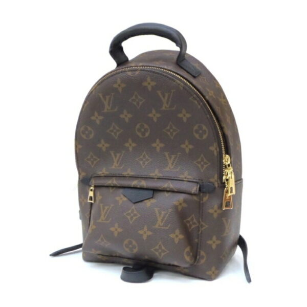 41342 1 Louis Vuitton Palm Springs Backpack PM Monogram