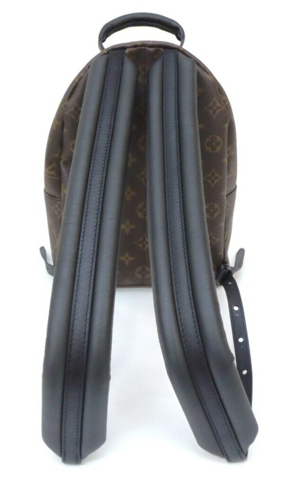 41342 2 Louis Vuitton Palm Springs Backpack PM Monogram