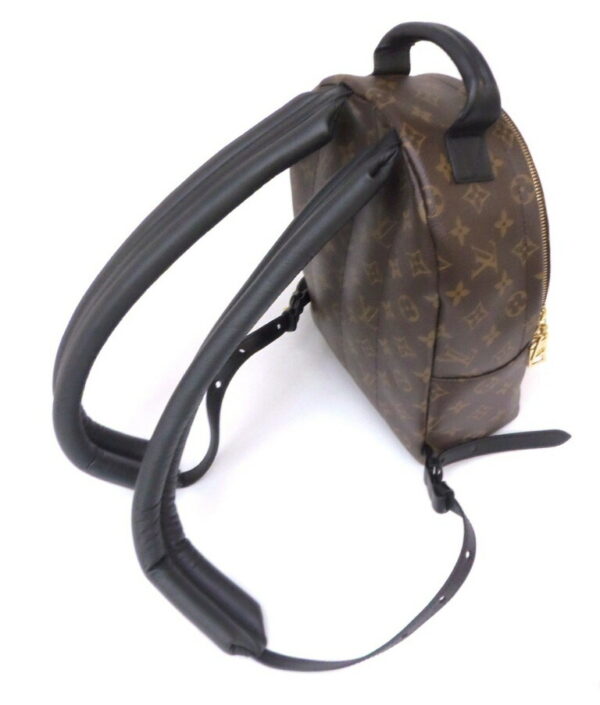 41342 4 Louis Vuitton Palm Springs Backpack PM Monogram