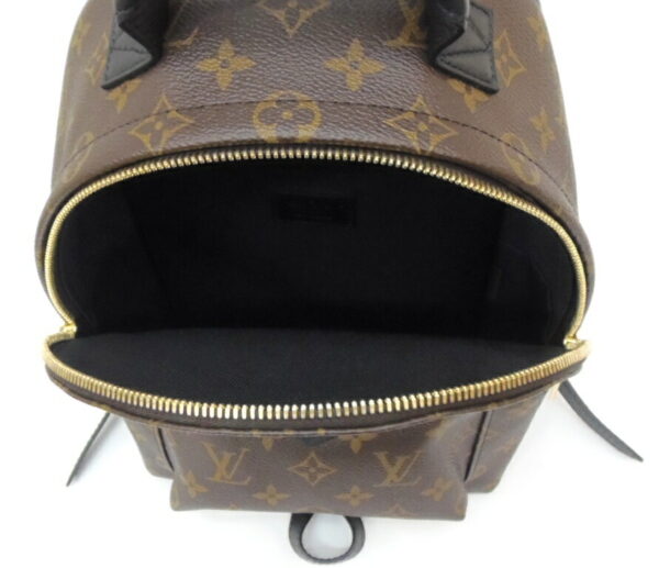 41342 5 Louis Vuitton Palm Springs Backpack PM Monogram