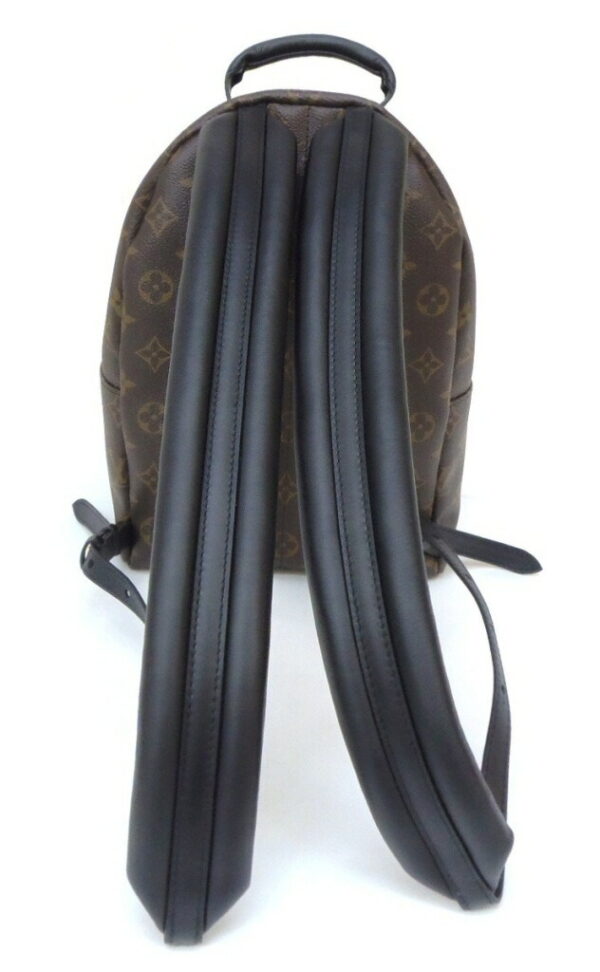 41343 2 Louis Vuitton Palm Springs Backpack PM Monogram Reverse