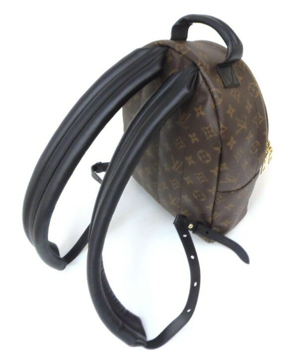 41343 4 Louis Vuitton Palm Springs Backpack PM Monogram Reverse