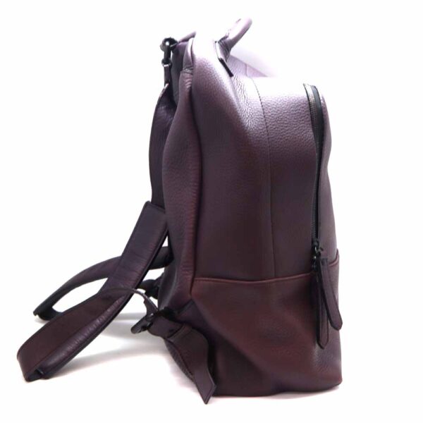 5924 3 Burberry Leather Backpack Purple