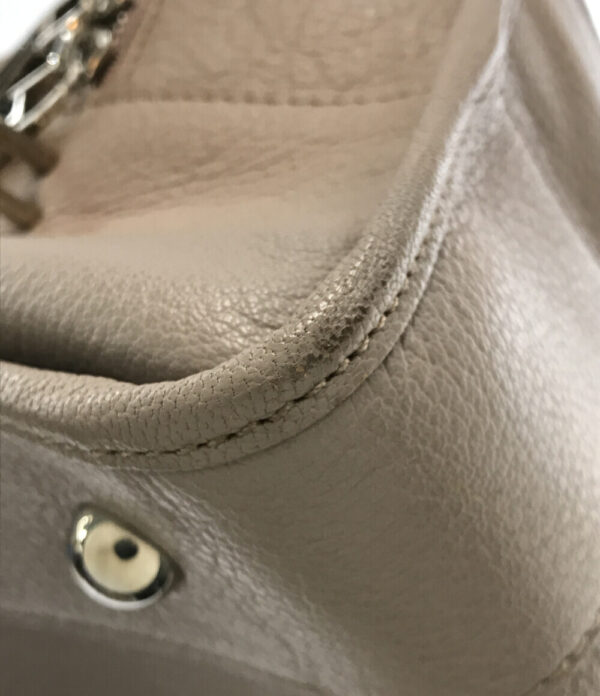 a161044001 7 Loewe Amazona Bag