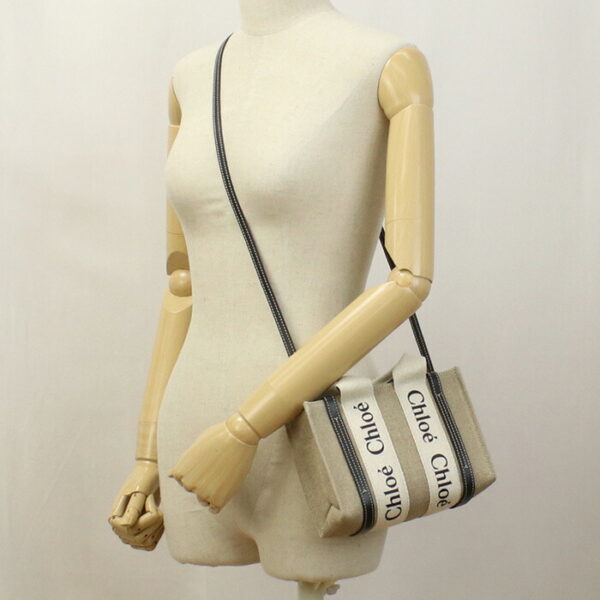 chl22ap237i26021 b Chloe Woody Mini Tote Bag White Blue Beige