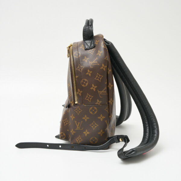 compass1706496805 Louis Vuitton Palm Springs Backpack PM Rucksack Leather Brown