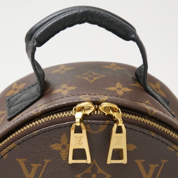 compass1706496839 Louis Vuitton Palm Springs Backpack PM Rucksack Leather Brown