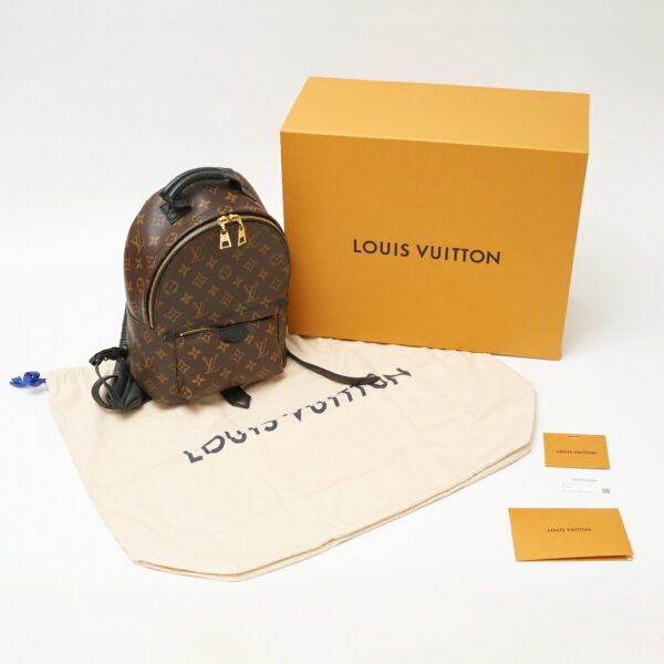 compass1706496932 Louis Vuitton Palm Springs Backpack PM Rucksack Leather Brown