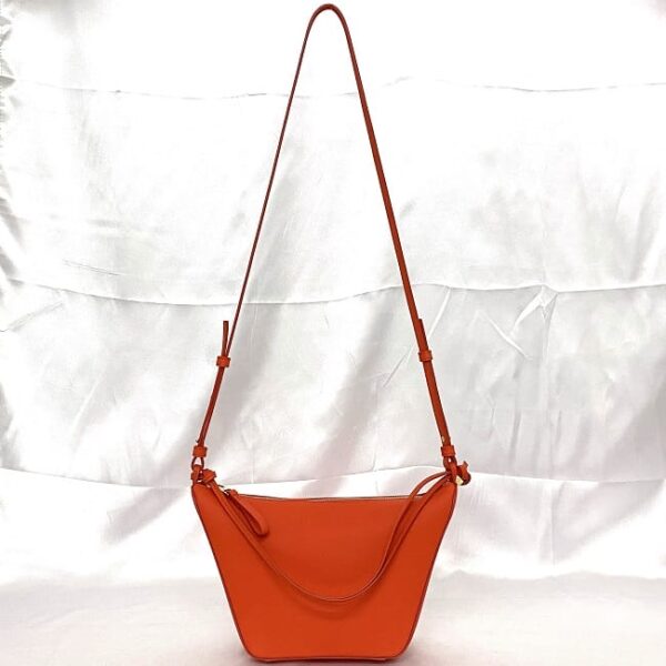 f 20569 2 Loewe 2Way Bag Leather Orange