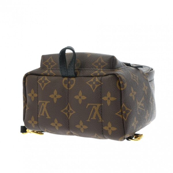 ik 00 0616383 5 Louis Vuitton Palm Springs Mini Rucksack Monogram Canvas Brown