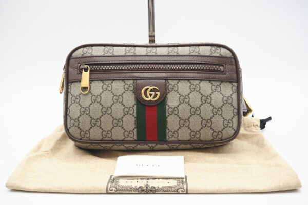 imgrc0098632846 Gucci Ophidia GG Belt Body Bag Beige Brown