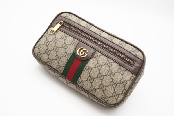 imgrc0098632847 Gucci Ophidia GG Belt Body Bag Beige Brown