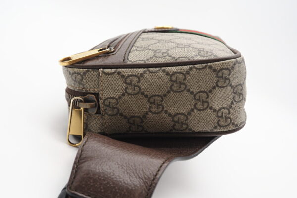 imgrc0098632851 Gucci Ophidia GG Belt Body Bag Beige Brown