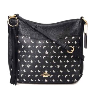 Coach One Shoulder Bag