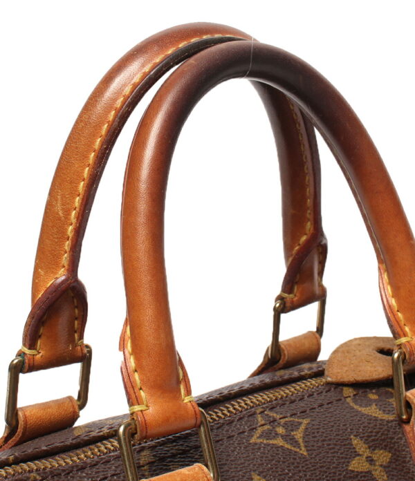 aol0094232 5 Louis Vuitton Speedy 25 Monogram Handbag