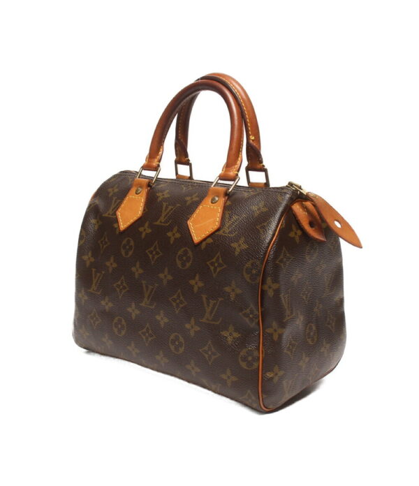 aol0109856 2 Louis Vuitton Speedy 25 Monogram Mini Bag