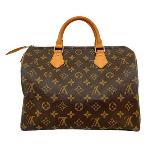 Louis Vuitton Speedy 30 Monogram Handbag