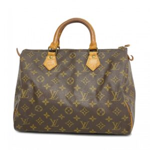 Louis Vuitton Monogram Speedy 30 Handbag Brown